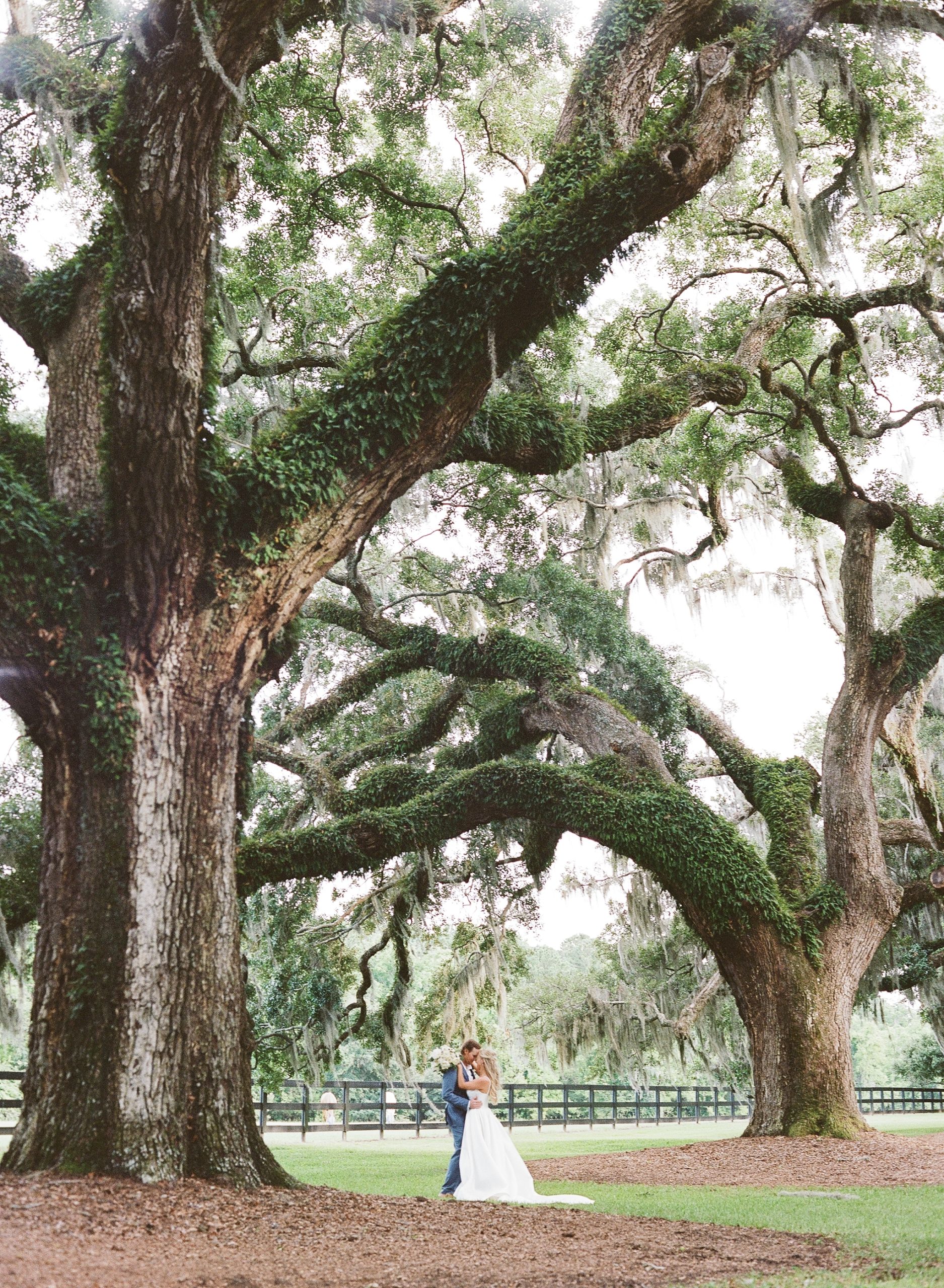 Boone Hall Wedding Photos